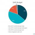 Entwicklung des SAP-Investitionsbudget 2021 (Grafik: DSAG)
