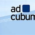 Setzt auf Rubrik: Adcubum (Logo: Adcubum)