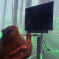 Affe spielt 'Pong' mit Gedanken dank Implantat (Grafik: youtube.com, Neuralink)