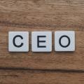 CEOs rechnen mit Wirtschaftsboom (Bild: Pixabay/ Diggity Marketing) 