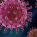 Corona-Virus: Datenpanne bei den Briten (Symbolbild: Pixabay/ Piro 4D)