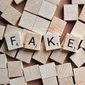 Fake-News sind weit verbreitet (Bild: Pixabay/ Wokandapix)