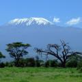 Blick auf das Kilimandscharo-Massiv (Foto: Greg Montani auf Pixabay) 