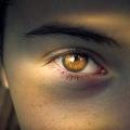 Auge: Neue Hightech-Kontaktlinse steuert künftig den Computer (Foto: Helmut Strasil, pixabay.com)