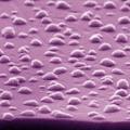 Nanopunkte aus Kupfer töten Keime hochwirksam ab (Foto: icfo.eu)