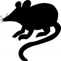 Ratten können auch für die IT gefährlich sein (Bild: Clkr Free Vector Images/ Pixabay) 