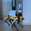 Dr. Roboter: für die meisten Patienten voll in Ordnung (Foto: mit.edu)