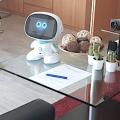 Sozialer Roboter 'Misa' soll unterschiedliche Emotionen erlernen (Foto: hs-offenburg.de)