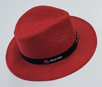 Ein roter Hut darf bei keinem Roundtable fehlen (Bild: Kapi)