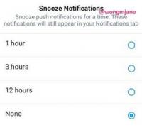 Snooze-Button: bereits im Code von Twitter (Foto: twitter.com, @wongmjane)